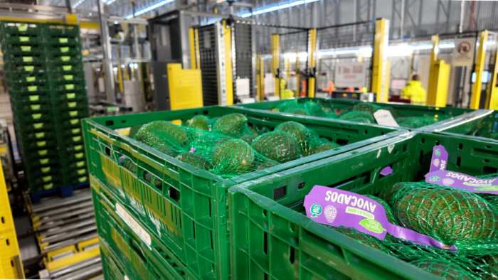 Aldi's Automated Produce DC Puts Pallets to Work at Scale